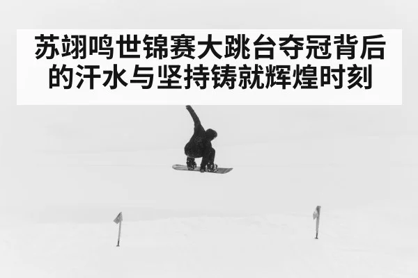 苏翊鸣世锦赛大跳台夺冠背后的汗水与坚持铸就辉煌时刻